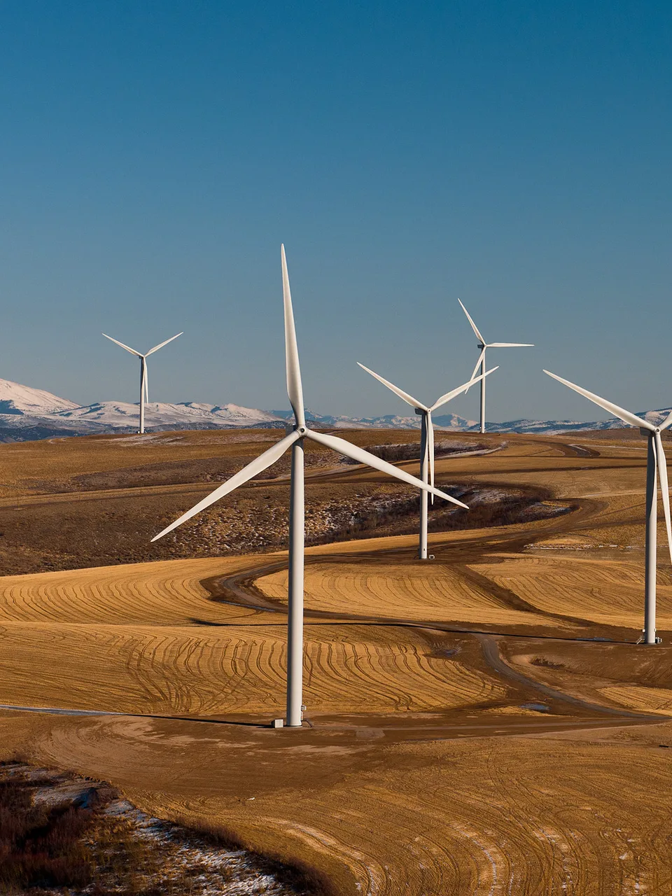 Inspection — Turbine Inspection